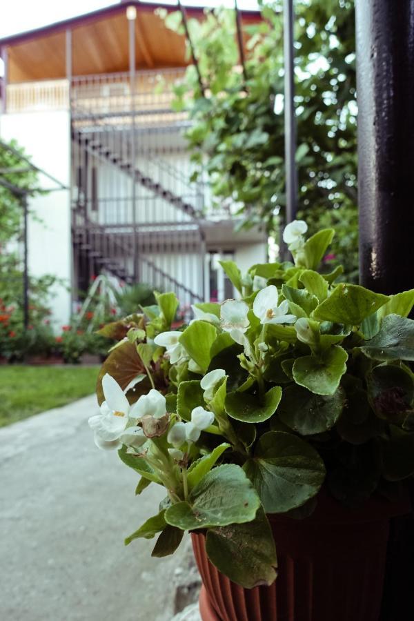 Гостевой Дом Летний Сад Soukhoumi Extérieur photo