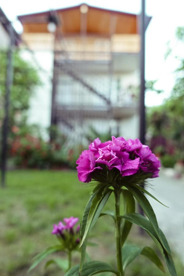 Гостевой Дом Летний Сад Soukhoumi Extérieur photo
