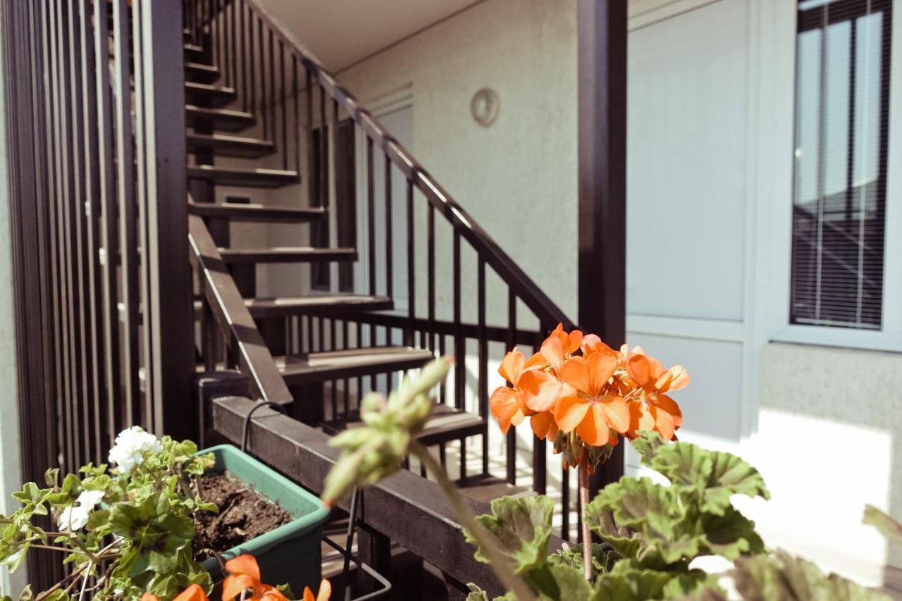 Гостевой Дом Летний Сад Soukhoumi Extérieur photo